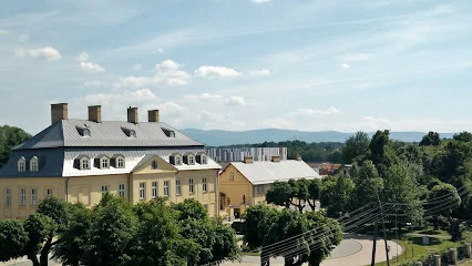 Pałac Raczyńskich